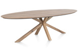 Table-Trapani-51945-mangifera-placage-metal-270x120cm-01-HH