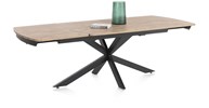Table-extensible-46783-Pavalon-Barnwood-V5-Persp-Henders-Hazel