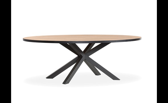 Table-ovale-Scarlet-lamulux-mango-220cm-Maxfurn
