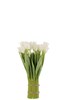 Tulipe-bouquet-plat-blanc-vert-12485