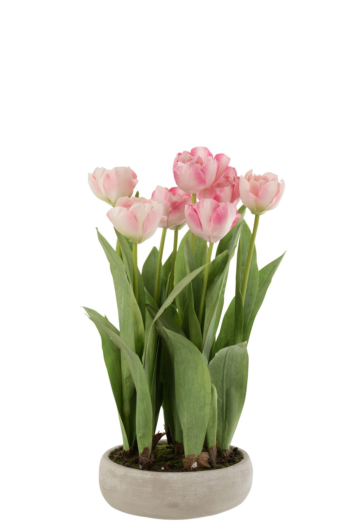 Tulipe en Pot 12500 - rose - Meubles Crack